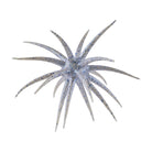 Berkley PowerBait MaxScent 'Moeba Blue Pearl Black Hologram