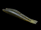 V&M Pork Shad 2.0 Watermelon Red Magic**