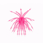 6th Sense Abstract Rose Dust