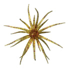 Queen Tackle Beast 25 Porcupine Balls Cinnamon
