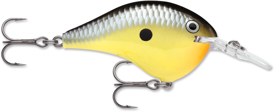 Rapala DT-6 Old School