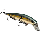 Strike King KVD Jerkbait 300