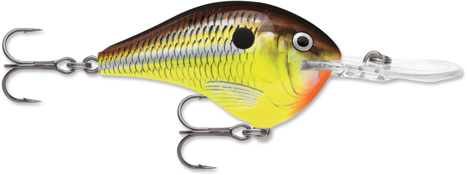 Rapala DT-14 Hot Mustard (D)