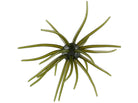 Hags “BIG TEX” 25mm Prickly Pear Hags Pumpkin