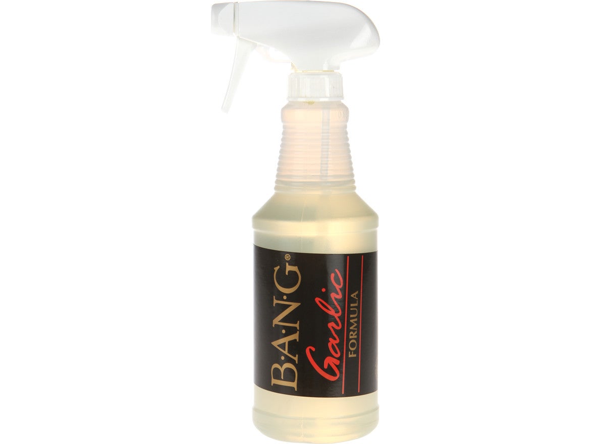 BANG Fish Attractant Garlic 16oz Pump