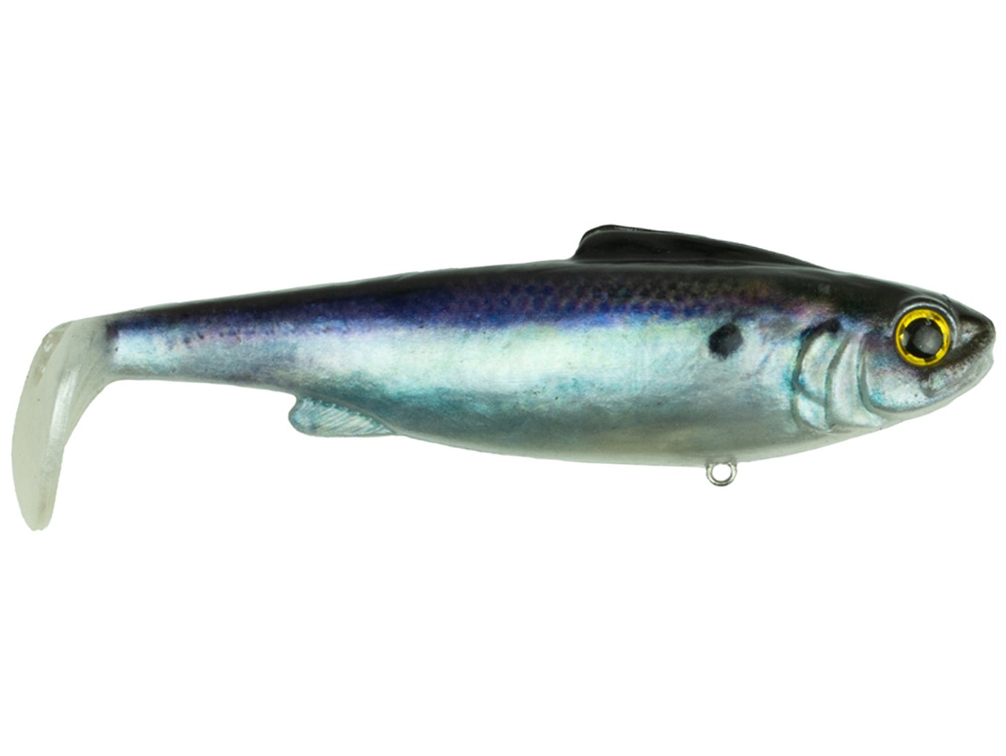 6th Sense Hangover Live Gizzard