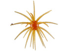 Queen Tackle Porcupine Ball Dead Center Magnum 20mm 2pk Cinnamon