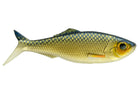 6TH Sense Sweep Live Shiner