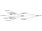 Shane's Baits Blade of Glory Umbrella Rig Lower - Blades of Glory