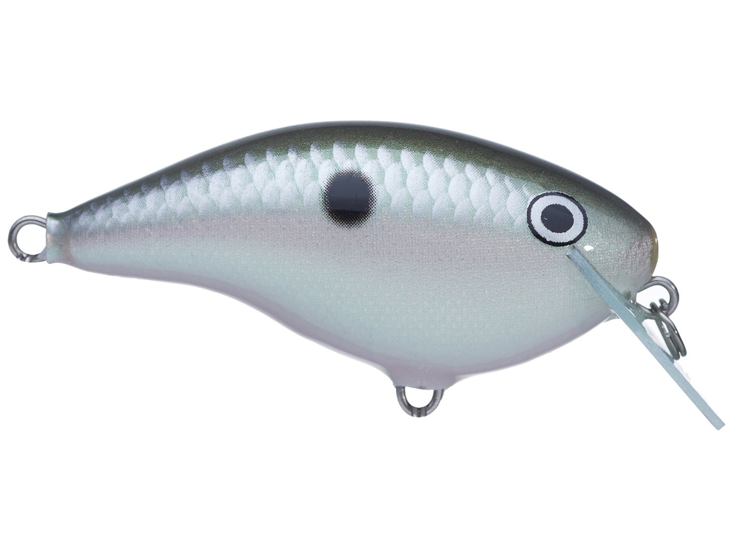 Rapala Ott’s Garage OG Rocco 5 Crankbait Green Gizzard Shad