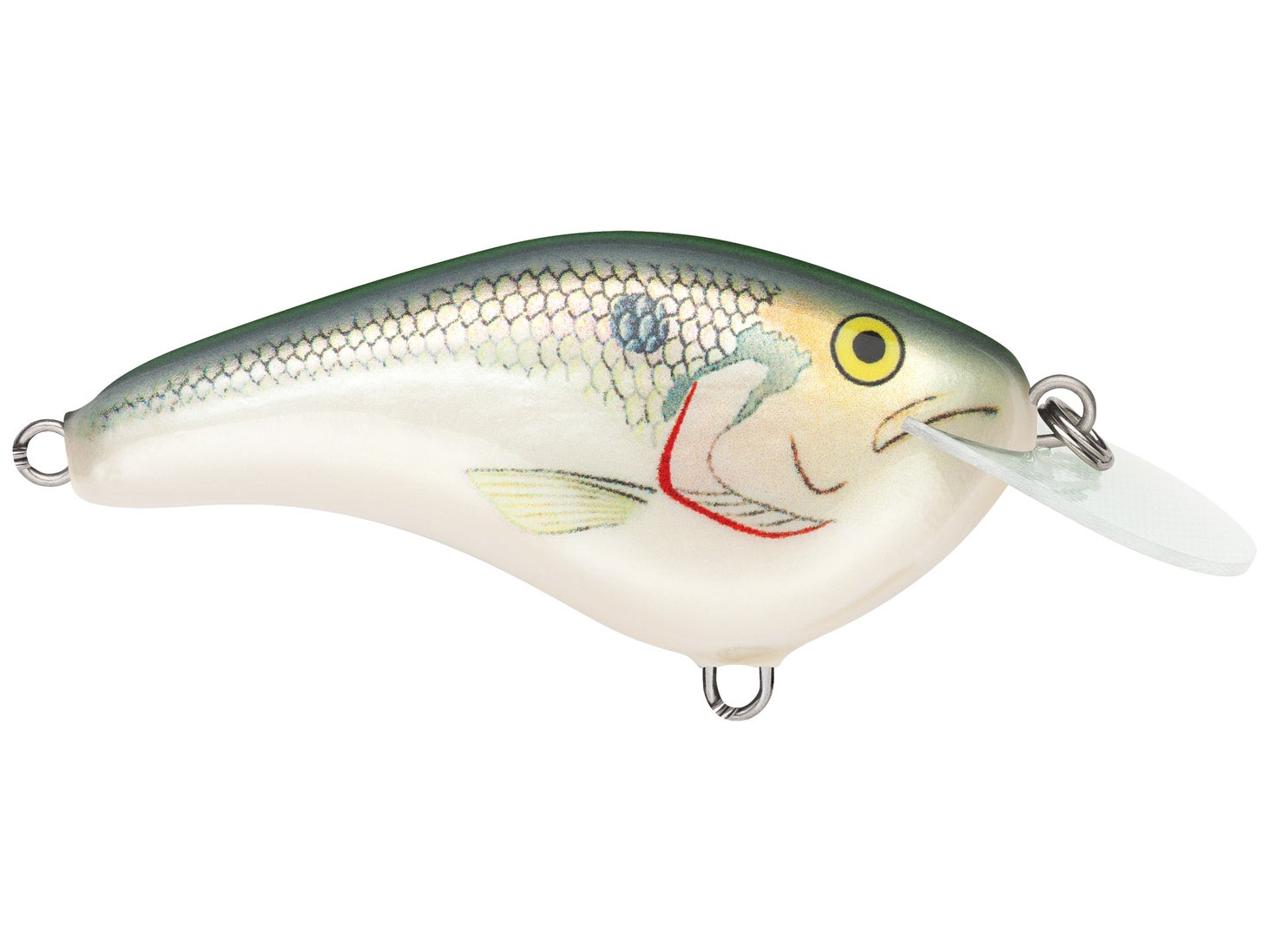 Rapala Ott’s Garage Slim 06 Crankbait Shad
