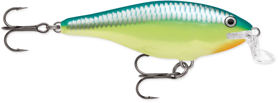 Rapala Shallow Shad Rap 05 Caribbean Shad
