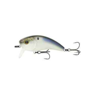 6th Sense Movement 80 Wake 4K Shad