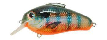 Bill Lewis Echo 1.75 Squarebill Crankbait