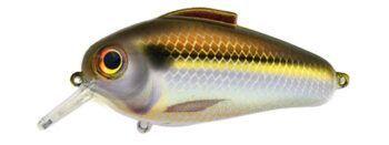 Bill Lewis Echo 1.75 Squarebill Crankbait
