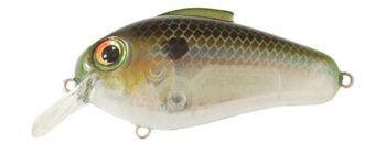 Bill Lewis Echo 1.75 Squarebill Crankbait Ghost Minnow