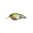 Evergreen Flat Force Flash Wakasagi