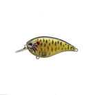 Evergreen Flat Force Skeleton Pumpkinseed