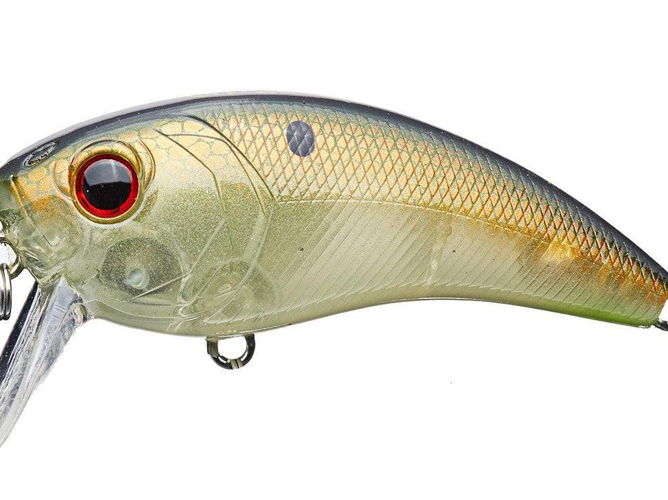 6th Sense Movement 80 Wake