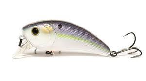 6th Sense Movement 80 Wake