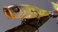 Megabass Pop Max Moth-La OB*