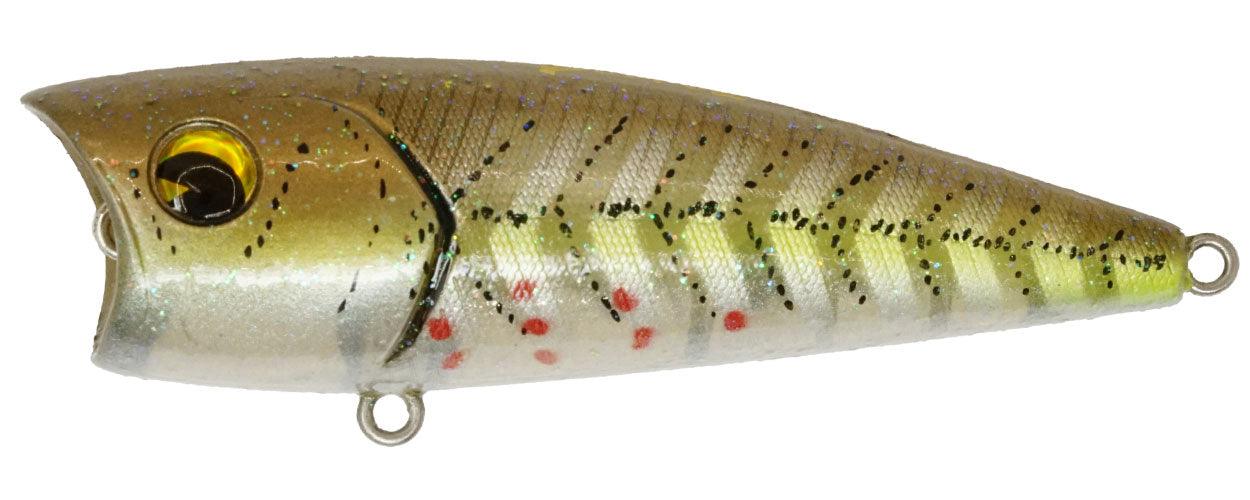 Ima Finesse Popper 65 Sexy Minnow