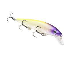 Strike King KVD Jerkbait 200 Pro Purple Headed Hammer